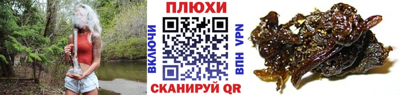 ГАШ ice o lator Луга