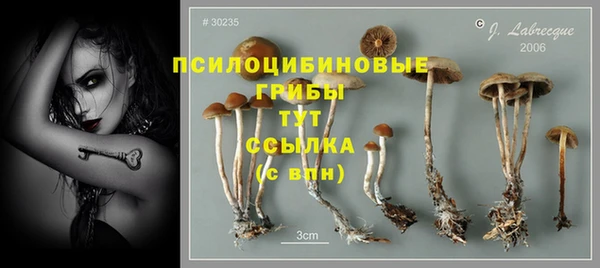 соль курить ск Алзамай