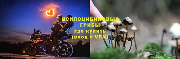 амф Алексин