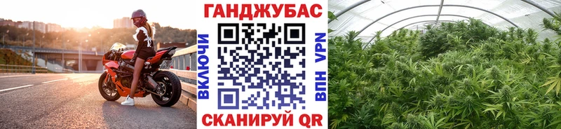 Марихуана White Widow  Луга 